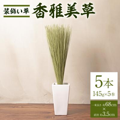 ふるさと納税 八代市 八代市 装飾い草「香雅美草」一束(約68cm×約3.5cm)x5本セット_134-4567-B