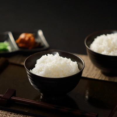 ふるさと納税 南島原市 【毎月定期便】【南島原市産】ひのひかり5kg　林田米穀店全6回 |  | 01