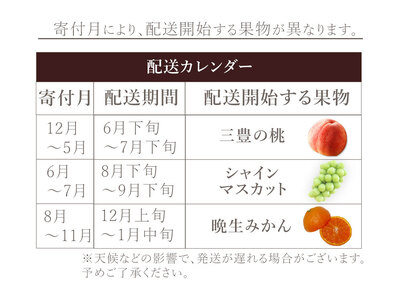 フルーツ定期便 3回 三豊市 晩生みかん 7kg 特大シャインマスカット 800g 三豊の桃　2kg【配送不可地域：北海道・沖縄県・離島】_M160-0033