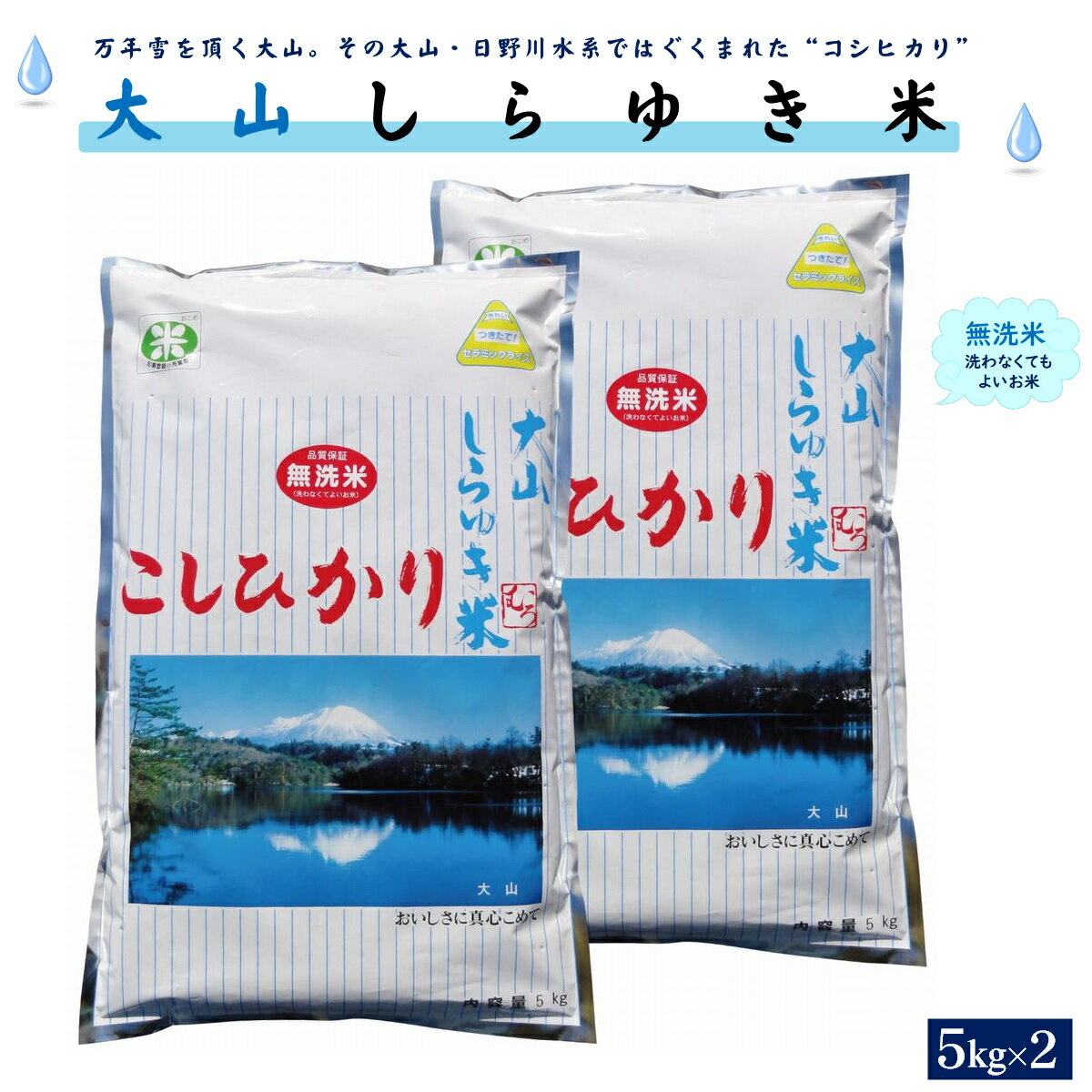 【ふるさと納税】令和6年産 無洗米 大山しらゆき米 10kg コシヒカリ 5kg×2 計10kg 【25-038-003】むろ米穀