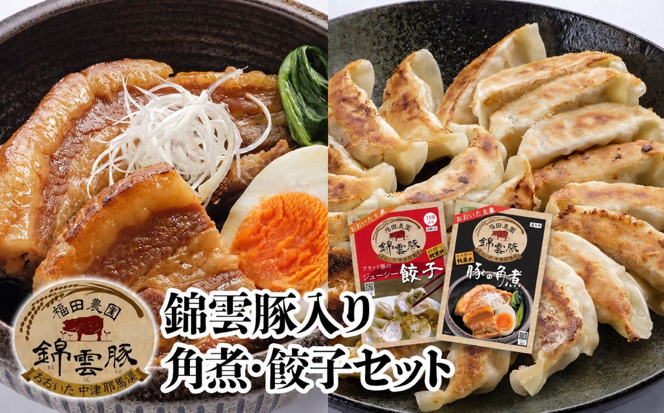 
錦雲豚 角煮250g×2 餃子15個入り×2(たれ付き) 冷凍食品 肉餃子 惣菜 冷凍おかず 冷凍餃子 豚の角煮 大分県産 九州産 中津市 国産 送料無料
