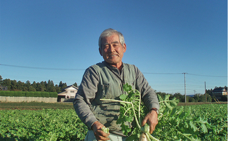 野菜 おかげさま農場 おまかせセット 詰め合わせ 野菜