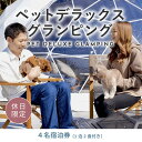 【ふるさと納税】《休日限定》愛犬同伴OK！デラックスグランピング4名1棟宿泊券(1泊2食、無料ドリンク付き) ［金土曜・祝日・祝前日・連休］ ビジョングランピングリゾート山中湖 ふるさと納税 ペット同伴 富士山 旅行 キャンプ 露天風呂 サウナ 水風呂 冷暖房完備 YAG010