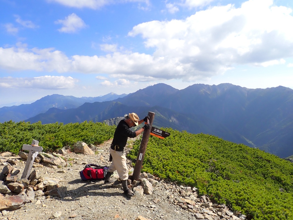 登山 南アルプスまもり隊・登山環境整備への寄附（登山者協力証1枚）1万円 | 登山 環境 整備 登山愛好家 証 山岳 アルプス 南アルプス 守りたい 信州 長野 伊那  【010-c0】