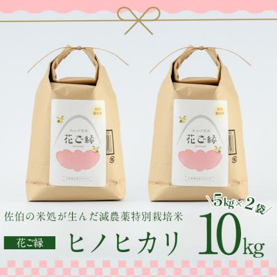 ふるさと納税 佐伯市 <先行予約受付中!2026年11月より発送開始予定>R8年産・はなご縁 (計10kg・5kg×2袋) |  | 01