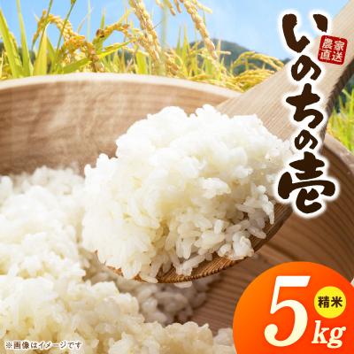 ふるさと納税 小牧市 R7年産「いのちの壱」(5kg)<農家直送> [208K09]