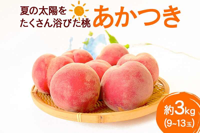 《先行受付！7月下旬より順次発送》夏の太陽をたくさん浴びた桃 あかつき 約3kg（9～13玉前後） [先行予約 もも モモ 白桃 はくとう 果物 フルーツ 産地直送 お取り寄せ]