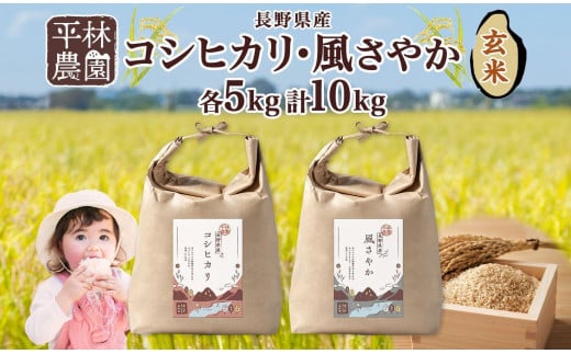 ＜先行予約＞令和7年産 コシヒカリ 風さやか 玄米 各5kg 長野県産 米 お米 ごはん ライス 低GI 甘み 農家直送 産直 信州 人気 ギフト お取り寄せ 平林農園 送料無料 長野県 大町市