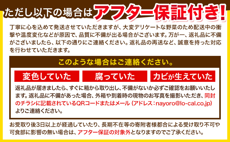 【先行予約】朝採りアスパラガス 2Lサイズ(800g) 《2026年5月中旬-5月下旬頃出荷予定》北海道 名寄市 送料無料 朝採り 新鮮 アスパラ---nayoro_loc_7_800g---st-p