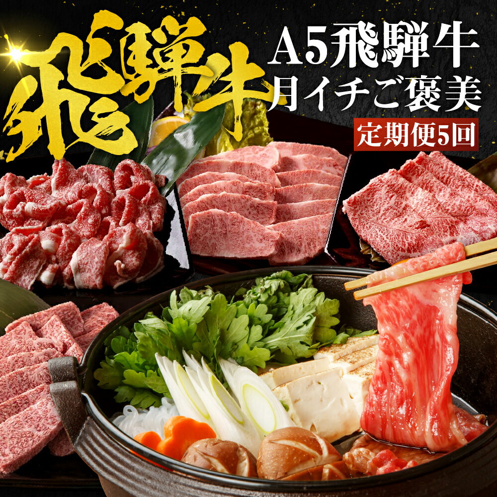 【ふるさと納税】【9/1より値上げ】 A5飛騨牛 定期便 5カ月 5回 ちょこちょこお届け（焼肉・すき焼き など）☆ 飛騨牛 牛肉 肉 黒毛和牛 希少部位 国産 厳選 ブランド牛 お取り寄せ 高級 岐阜県 大垣市