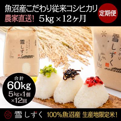 ふるさと納税 十日町市 【毎月定期便】魚沼産こだわり従来コシヒカリ  5kg(5kg×1袋)×12回 合計60kg全12回