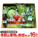 【ふるさと納税】【12か月連続定期便】季節の果物と野菜セット 16品目 定期便 全12回 定期配送 野菜 セット やさい 新鮮 旬 果物 くだもの フルーツ 季節 詰め合わせ 詰合せ 冷蔵 九州 熊本県 送料無料
