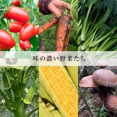 ふるさと納税 津和野町 【産地直送】島根県津和野産・採れたて旬の野菜詰め合わせセット[6〜8種セット] |  | 02