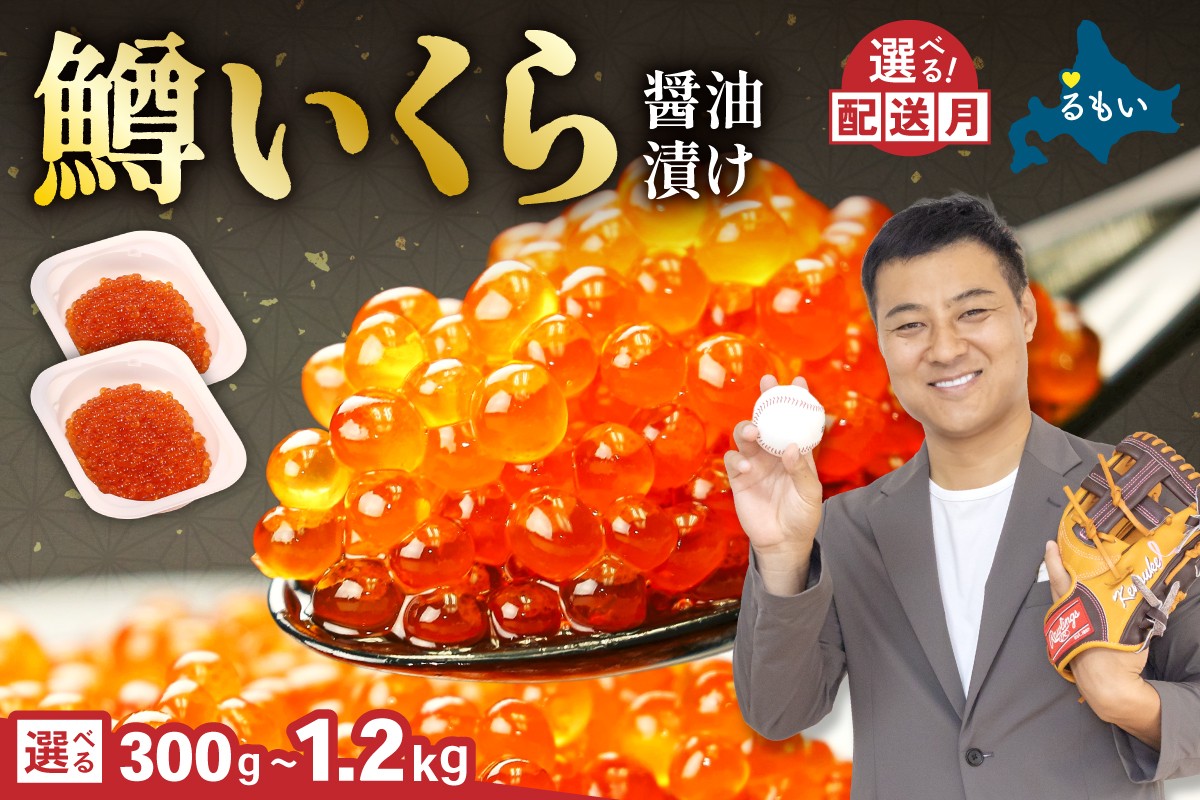 
                  【選べる量・配送月】いくら 醤油漬（鱒卵）300g/600g　人気 魚卵 高級 醤油漬け 小分け 北海道 ごはんのお供 海鮮 魚卵  魚貝類 保管便利 小分けタイプ いくら醤油漬  おせち  R001-022-O
                