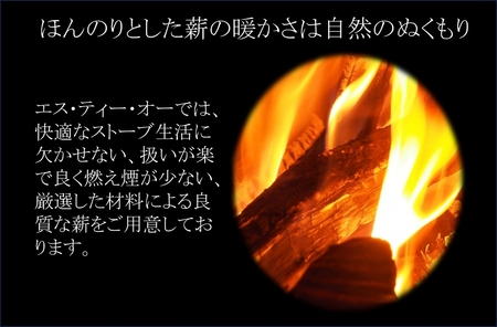 薪ストーブ用 薪 30cm　約20kg アウトドア　BBQ用　キャンプ　暖炉　焚火　乾燥薪【 長野県 佐久市 】
