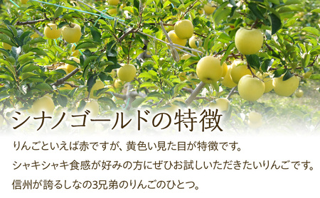 【2024年/令和6年度発送分！先行予約】パリッとした食感の　シナノゴールド　5キロセット