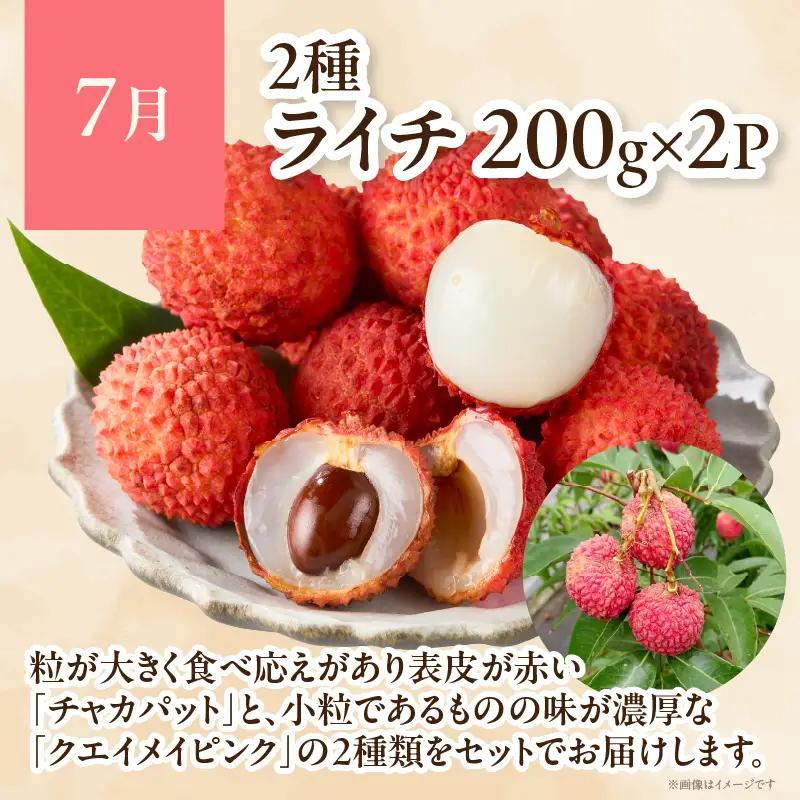 【4ヶ月定期便】 JA綾町 いつでもフルーツ定期便 《きんかん／日向夏／マンゴー／ライチ》 果物 フルーツ くだもの 柑橘 完熟きんかんたまたま 種なし 完熟マンゴー おすすめ おすそ分け おやつ ス