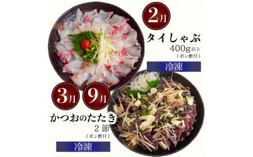 12ヶ月 定期便 刺身 鮮魚 12回 定期便 新鮮 国産 （ 伊勢海老 ブリ かつお たたき キハダ マグロ タイ シマアジ ヒラメ 貝 セット） イセエビ 鯵 長太郎 サザエ  鰹 鯛 鮪 セット 