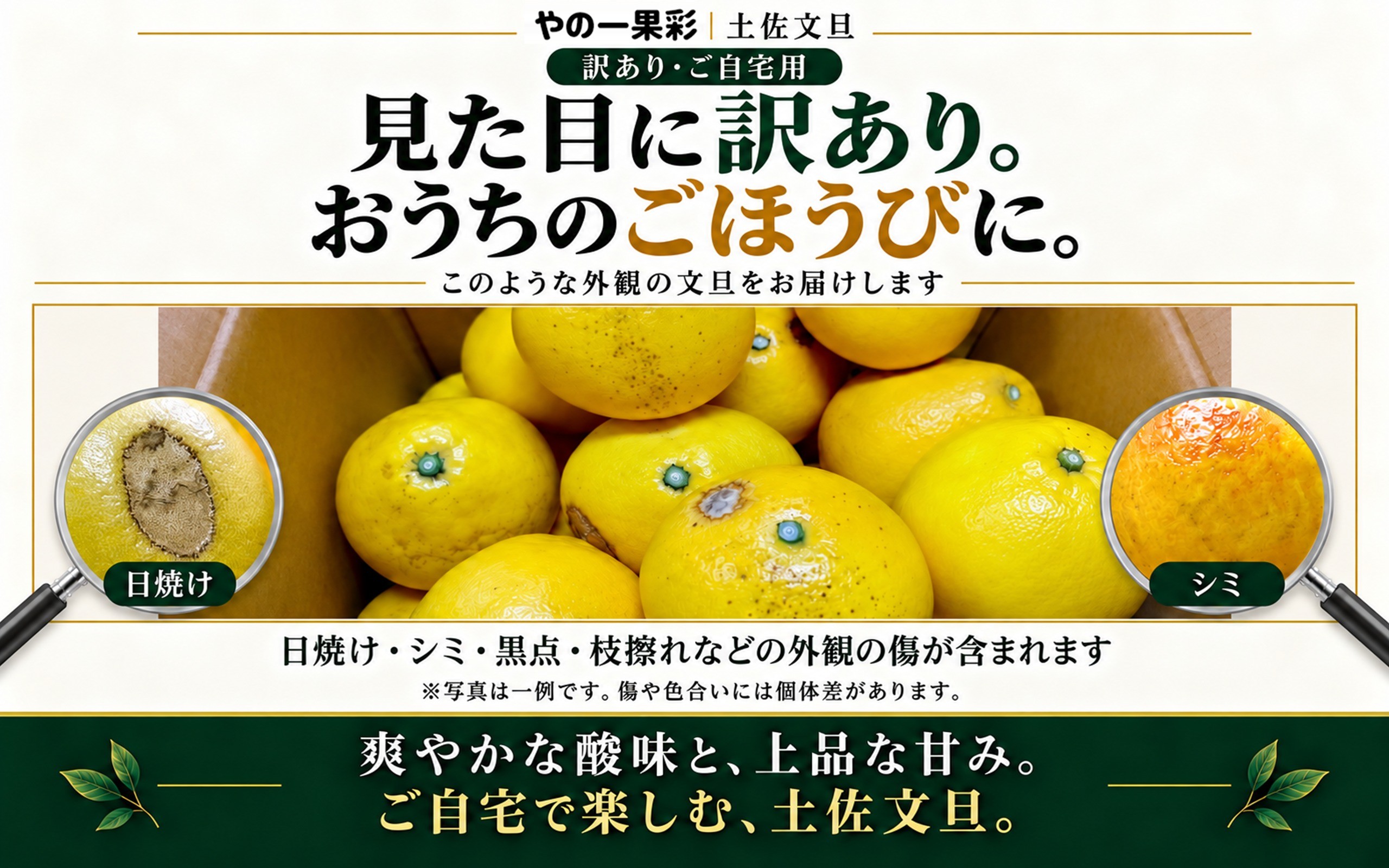 文旦 ぶんたん 土佐 柑橘 高知県産 フルーツ お取り寄せ 訳あり