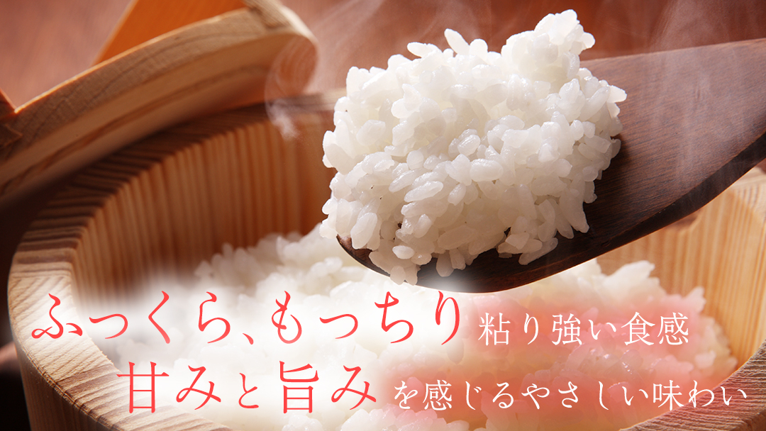 【 新米 】【6回定期便】お米 10kg (5kg×2) ( 総計60kg ) 白米 ひとめぼれ 特別栽培米 ★令和8年産★ 精米 米 おこめ ご飯 令和8年 特別栽培 仕送り お弁当  5キロ 10