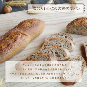冷凍 パン ハード系 定番 3個 フランスパン カンパーニュ ハード系 パン 全粒粉 パン 天然酵母 パン