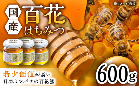 百花はちみつ 計600g /永尾 忠則 [UAS005] はちみつ