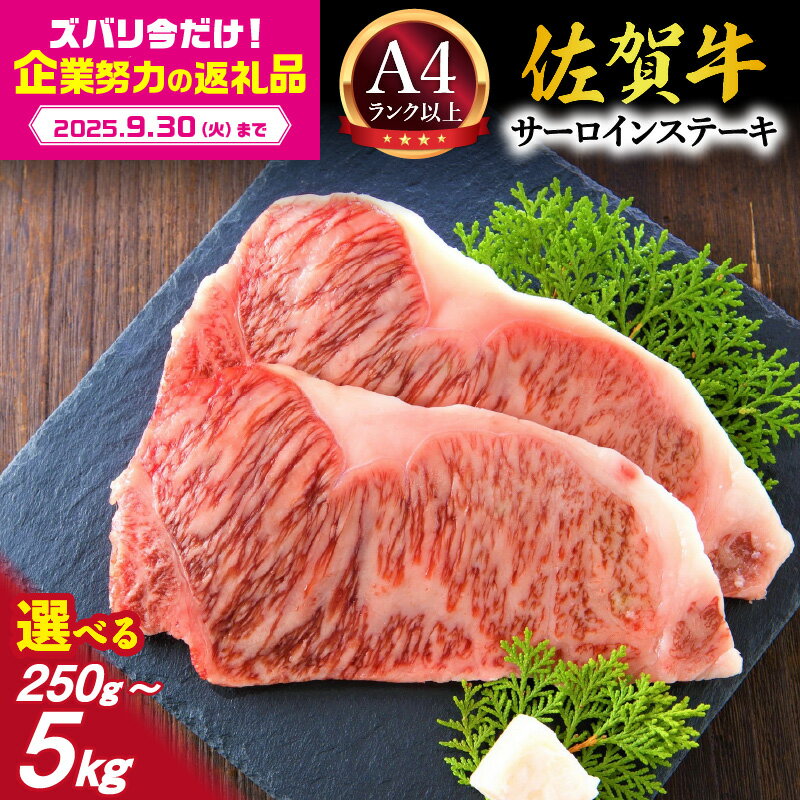【ふるさと納税】【企業努力】【 佐賀牛 】 艶さし！ サーロイン ステーキ 250g～5kg 1～20枚【 牛肉 ブランド牛 黒毛和牛 小分け ふるさと納税 佐賀牛 肉 ステーキ サーロイン ステーキ 赤身 化粧箱 贈り物 贈答用 ギフト 】
