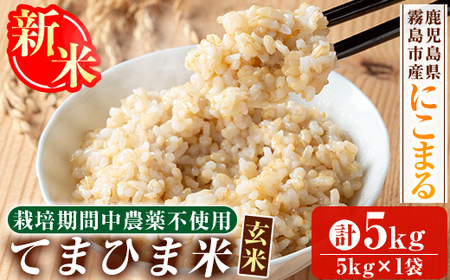 K-391-B ＜令和7年産新米 先行予約受付中！2025年12月以降順次発送予定＞てまひま米・玄米(品種:にこまる)(計5kg)【末蜜農園】霧島市 お米 玄米 米 こめ コメ ご飯 ごはん 定期便 栽培期間中農薬不使用