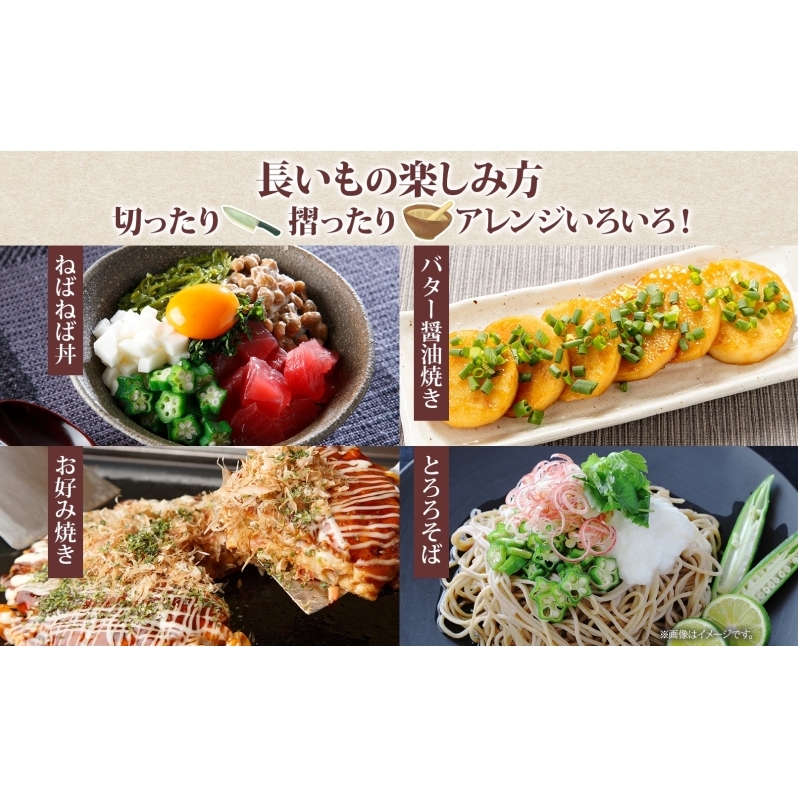 北海道 農園直送 長芋 5kg 北海道産 長いも 芋 ながいも とろろ 一本もの 新鮮 フレッシュ 伊達野菜 野菜 農作物 産直 山芋 麦とろ 山かけ サラダ ステーキ おつまみ おかず 贈答用 ギフ