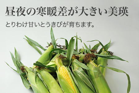 とうもろこし 12本 先行予約 とうもろこし