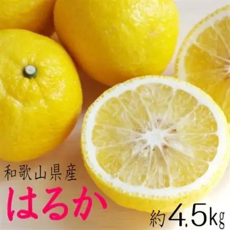【発送月固定定期便】和歌山の春の柑橘(ポンカン・はるか・ブラッドオレンジ)定期便全3回【4053543】