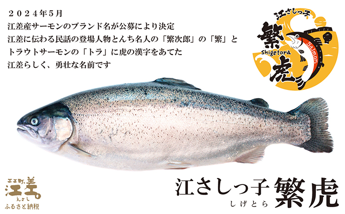 北海道産 スモークサーモンと切り身セット 2箱 ［スモーク100g（50g×2P）&切り身60g×3切れ（個包装）／化粧箱］×2　　王子サーモン　北海道江差産トラウトサーモン　純国産ブランドサーモン『