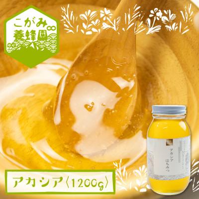 ふるさと納税 飛騨市 アカシア蜜 1200g[Q1200]