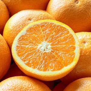 【まるで食べるジュース!越冬完熟品】愛媛産 訳あり 清見オレンジ 10kg【F20-34】【1594861】