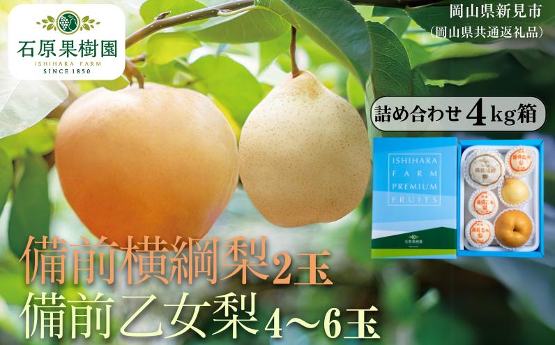 
                  詰め合わせ 4kg箱 赤秀 横綱梨2玉(1～1.5kg玉)・乙女梨4～6玉 【先行予約 2026年11月中旬から順次発送】
                