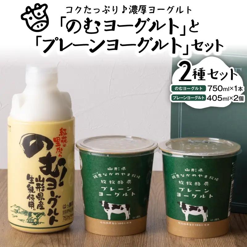 ヨーグルト のむヨーグルト 放牧酪農プレーン セット ヨーグルト