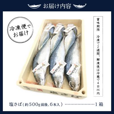 ふるさと納税 焼津市 伝統の塩さば(a17-090) |  | 01