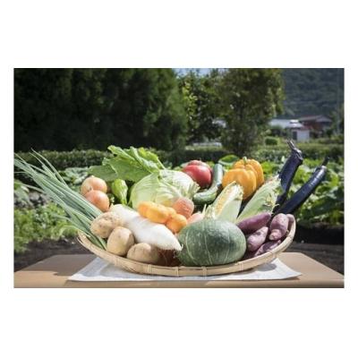 ふるさと納税 西予市 せいよ旬の野菜・果物詰合わせセット　月1回3か月(計3回配送) |  | 01