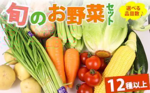 野菜 セット 12品目 以上 お野菜 季節 野菜 旬 新鮮 産地直送 詰め合わせ やさい おいしい 自然 セット 美味しい たっぷり フルーツ 詰合せ お届け トマト 小松菜 とうもろこし いんげん ズッキーニ じゃがいも ねぎ おいしい 健康 野菜 やさい 朝採れ 朝採れ野菜 新鮮野菜 ふるさと納税 送料無料 人気 おすすめ 便利 お楽しみ みずみずしい 簡単 丸新柴本製茶 静岡県 牧之原市