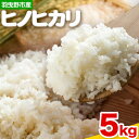 【ふるさと納税】【先行予約】米 令和6年産 羽曳野市産 ヒノヒカリ 5kg 大阪南農業協同組合《12月上旬-4月中旬頃出荷》大阪府 羽曳野市 コメ 単一原料米 ひのひかり ブランド米