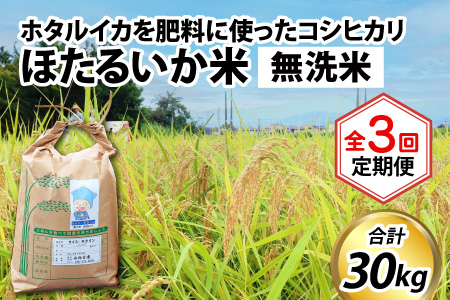 【先行予約】【新米】ほたるいか米（無洗米10kg）×3回 計30kg【3ヶ月定期便】25年10月開始