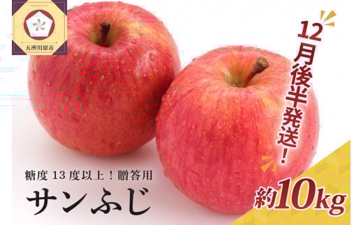 【2025年12月後半発送】 りんご 約10kg サンふじ 青森産 糖度 13度以上　贈答用 特選～特秀