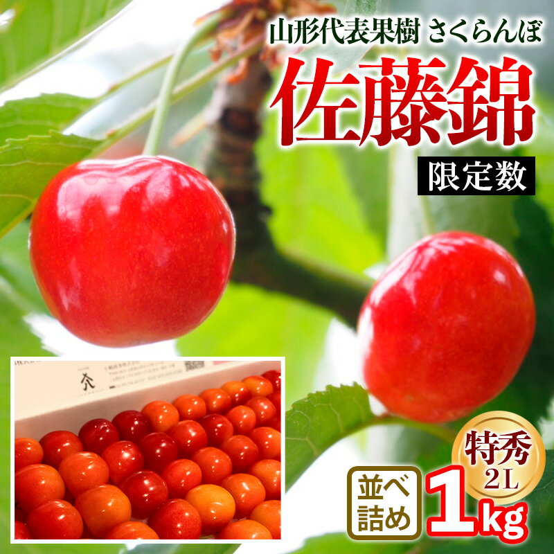【ふるさと納税】山形代表果樹 佐藤錦 特秀 2L 並べ詰め 1kg 【限定数】 FY25-114