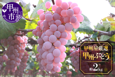 甲州屋厳選 甲州ぶどう 約2kg【2026年発送】B-119 ぶどう フルーツ