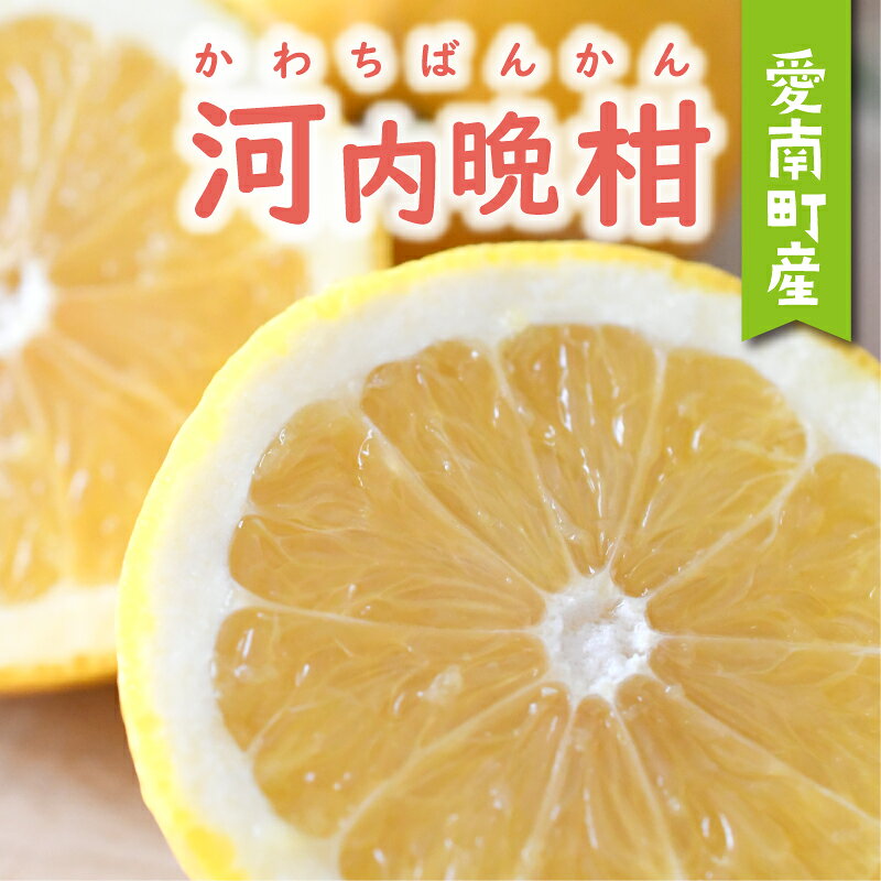 【ふるさと納税】 数量限定 先行予約 樹齢 25年以上 河内晩柑 選べる 規格 大玉 中玉 小玉 4kg ～ 10kg みかん mikan 蜜柑 ミカン かわちばんかん 愛南ゴールド あいなん ゴールド 文旦 派生 和製 グレープフルーツ 国産 期間限定 特産品 人気 みかんの山祥 愛南町 愛媛県