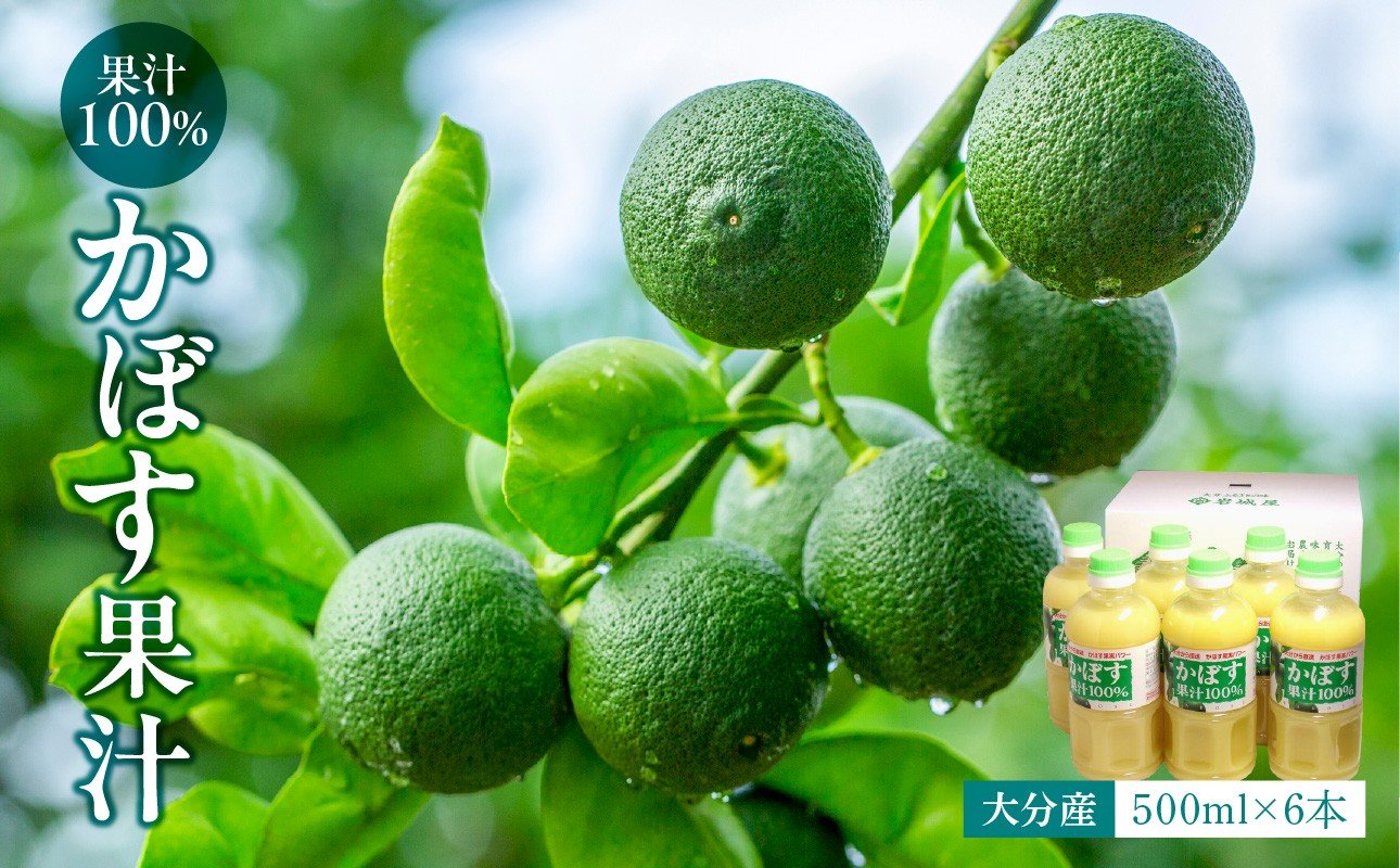
                  【大分県】【果汁100％】【無添加】カボス果汁　500ml×6本 大分県 果汁 飲料 さわやか 果汁100％ ストレート 常温 水不使用 カクテル かぼす 柑橘 F10041
                