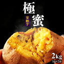 【ふるさと納税】極蜜 安納芋 の 焼き芋 【 1kg × 2袋】 | ふるさと納税 さつまいも サツマイモ あんのういも 熟成 芋 お芋 冷凍 やさい ご家庭用 鹿児島県産 大崎町