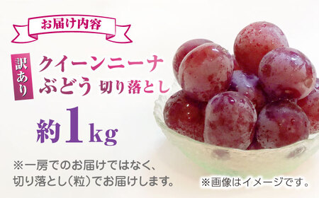【先行予約】訳あり クイーンニーナ ぶどう 切り落とし 約1kg  【合同会社 社方園】 訳あり 赤ぶどう 赤系ぶどう 1kg 家庭用 葡萄 クイーンニーナ 訳ありぶどう 訳あり赤ぶどう 訳ありクイー