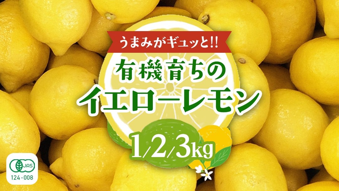 
            大崎上島産 有機レモン 【 選べる内容量 】 レモン れもん 檸檬 広島県 オーガニック JAS認証 有機 柑橘 フルーツ 果物
          