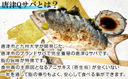 唐津Qサバとは、アニサキスが全くいない一年を通して脂の乗りもよく、
安心して食べることのできるサバのことです。